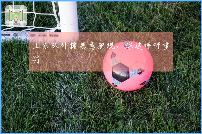 山东队外援恶意犯规，球迷呼吁重罚
