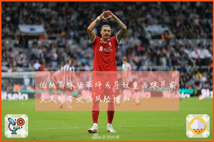 伯纳乌球场草坪或导致皇马球员前交叉韧带受伤风险增加