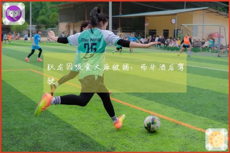 狄龙因吸食大麻被捕，而非酒后驾驶