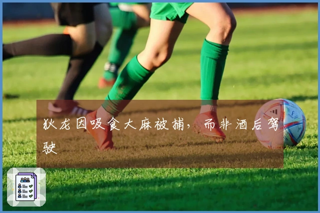 狄龙因吸食大麻被捕，而非酒后驾驶