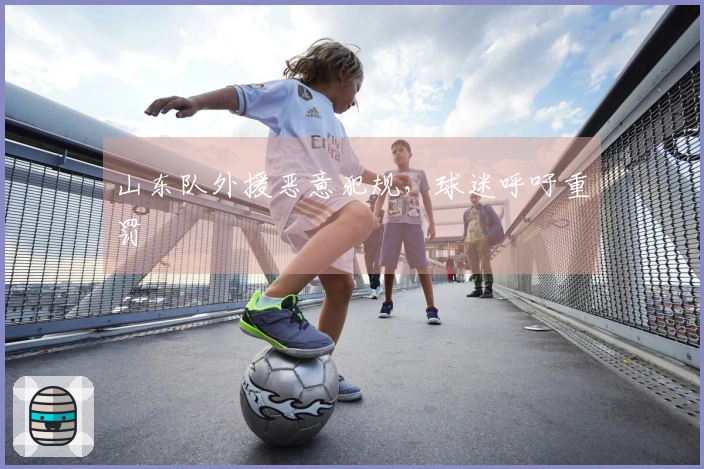 山东队外援恶意犯规，球迷呼吁重罚